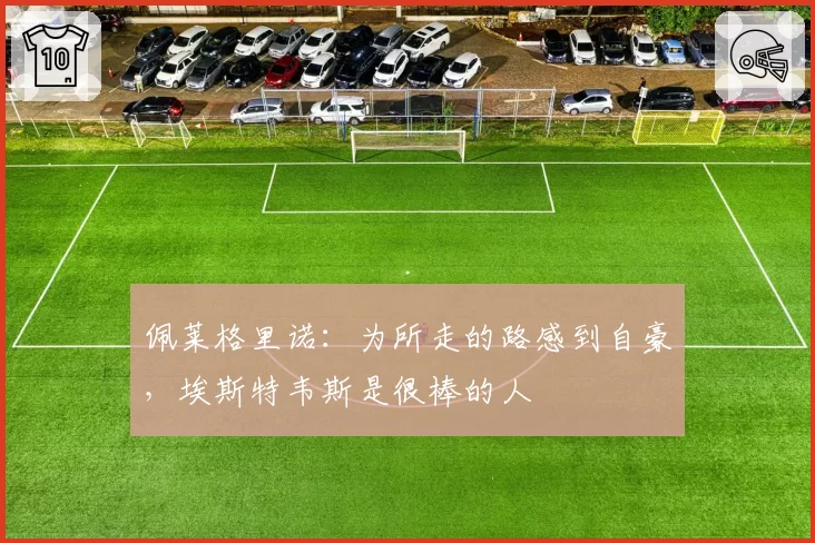 佩莱格里诺：为所走的路感到自豪，埃斯特韦斯是很棒的人