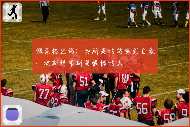 佩莱格里诺：为所走的路感到自豪，埃斯特韦斯是很棒的人