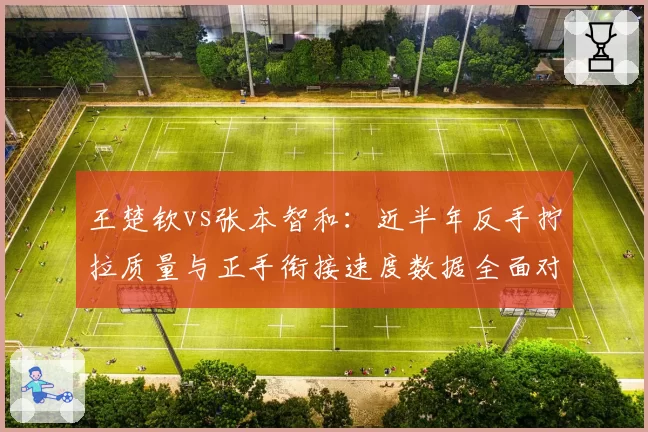 王楚钦vs张本智和：近半年反手拧拉质量与正手衔接速度数据全面对比